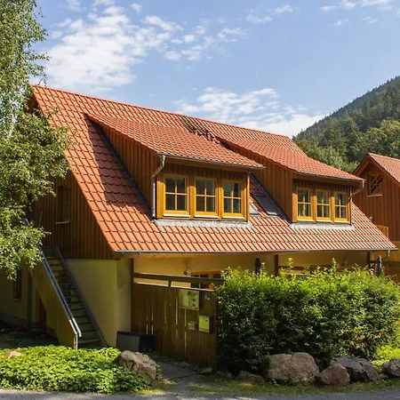 Holiday home Ferienhaeuser Am Brocken, 60 Qm, 2 Schlafzimmer *