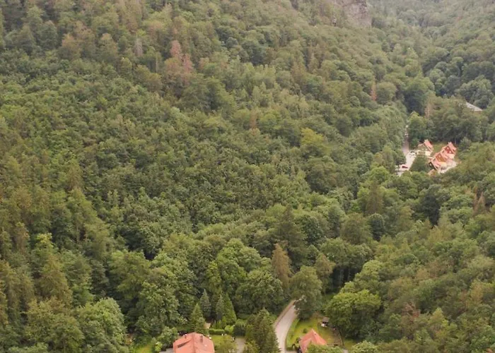 Ferienhaeuser Am Brocken, 60 Qm, 2 Schlafzimmer